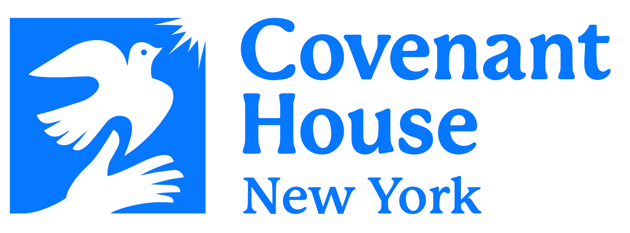 Covenant House NY