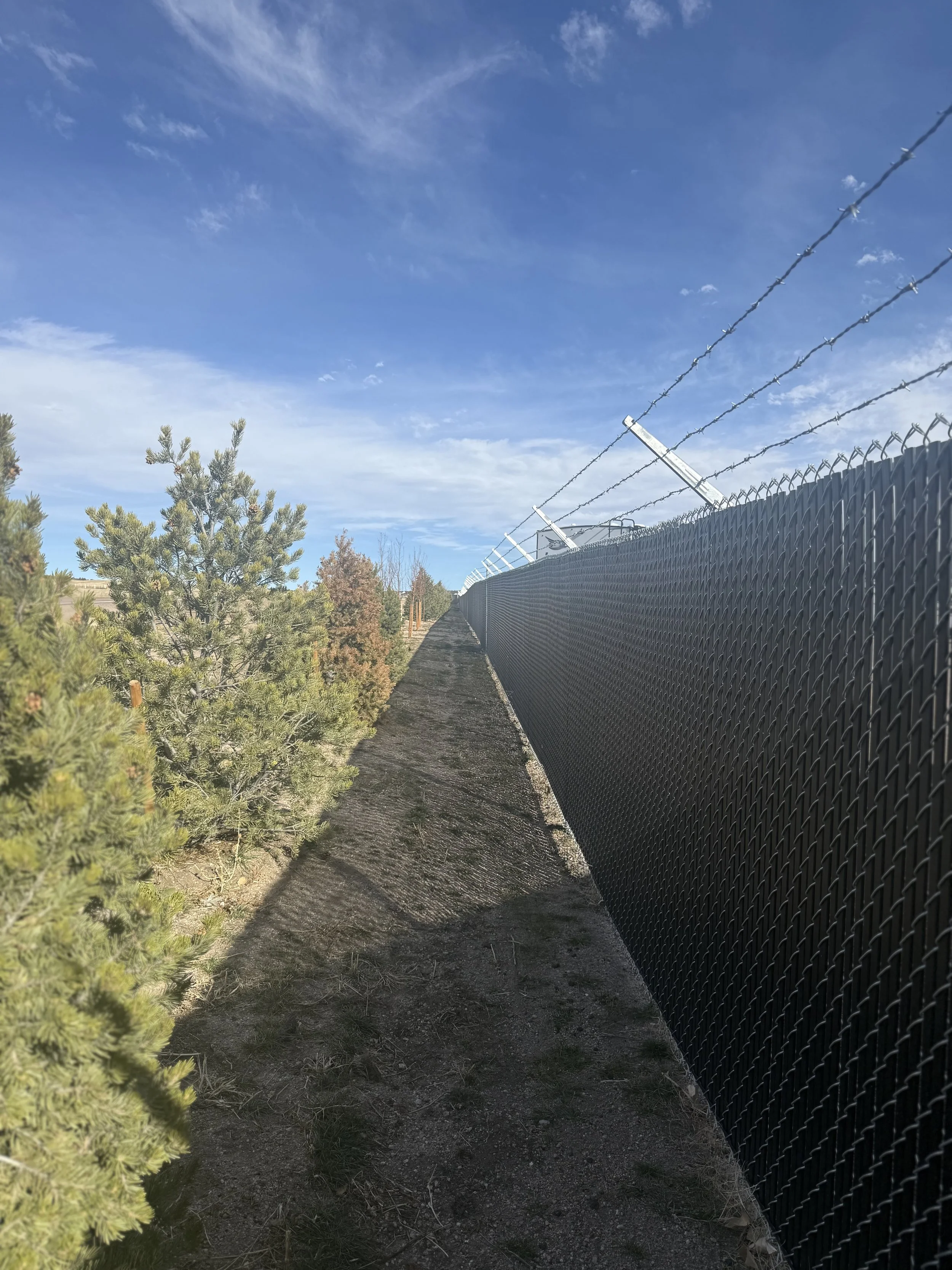 A tall metal fence topped with barbed wire runs alongside a dirt trail with small pine trees on the left and a clear blue sky above.