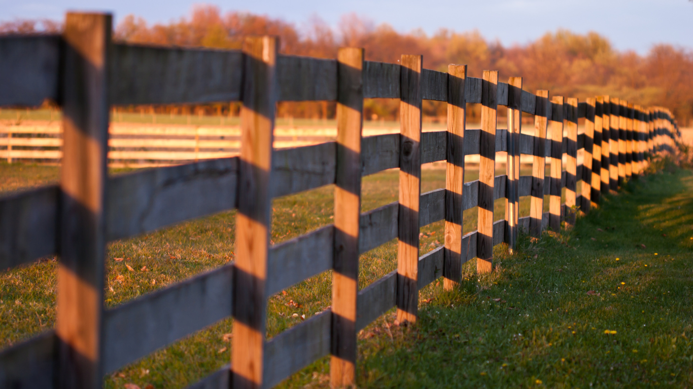 Fence Repair in Colorado Springs: What It Costs, What It Takes, and When to Replace Instead