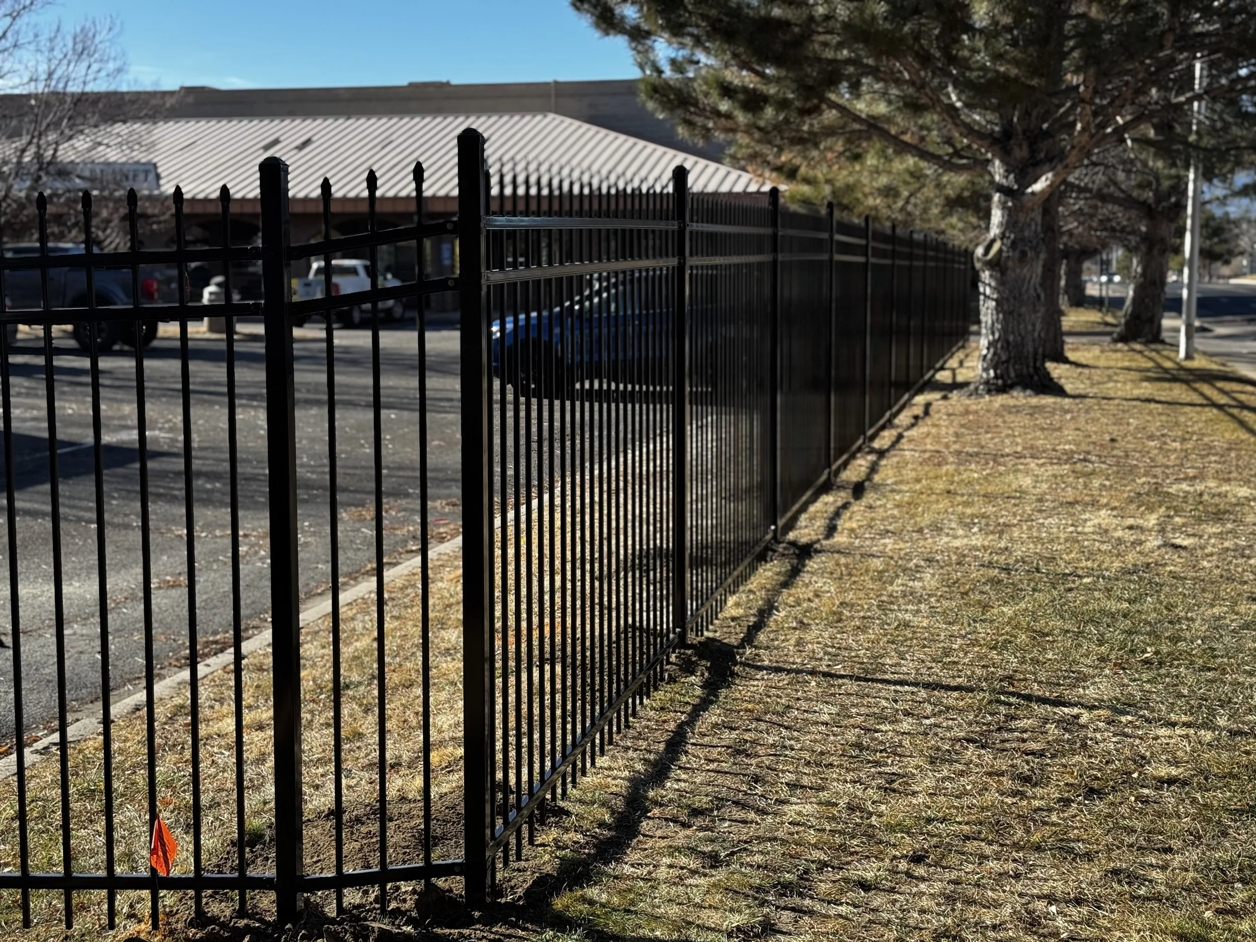 Black metal fence along a sidewalk with grass and trees, and parked cars and a building in the background.