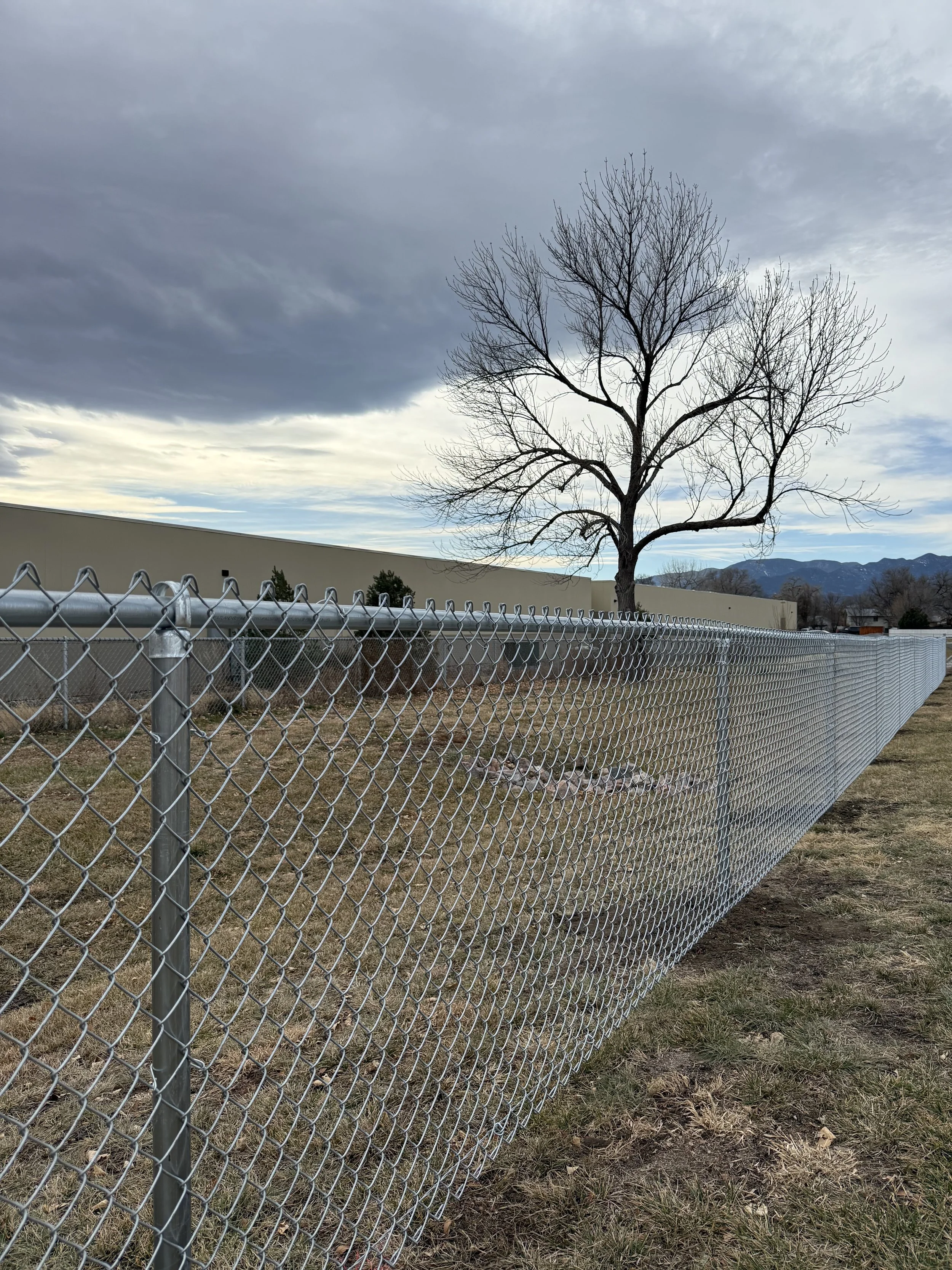 A metal chain-link fence running along a grassy area with a lone leafless tree and cloudy sky in the background.