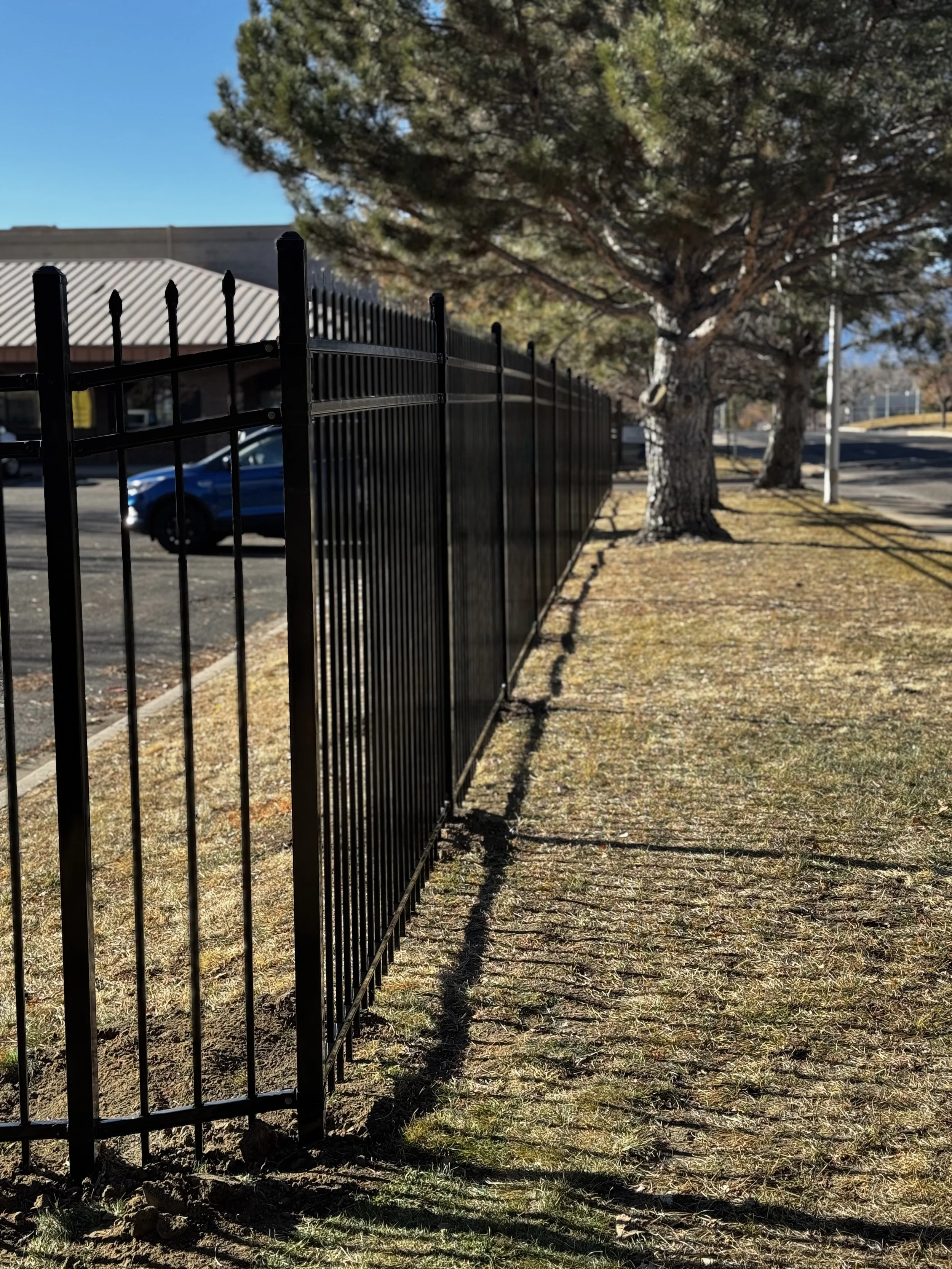 A black metal fence runs along a grassy sidewalk with trees casting long shadows on the ground. A blue car is parked in the background near a building under a clear blue sky.