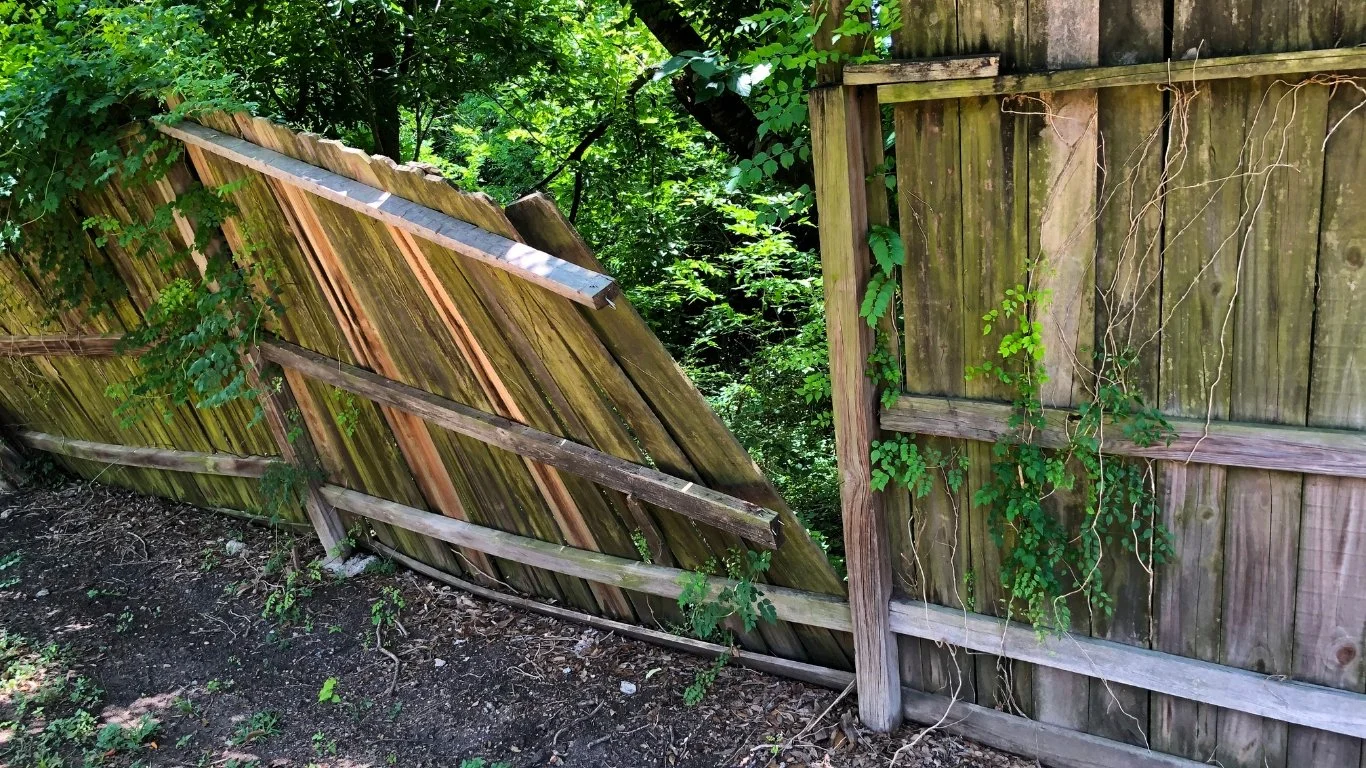 Fence Repair Help in Colorado Springs