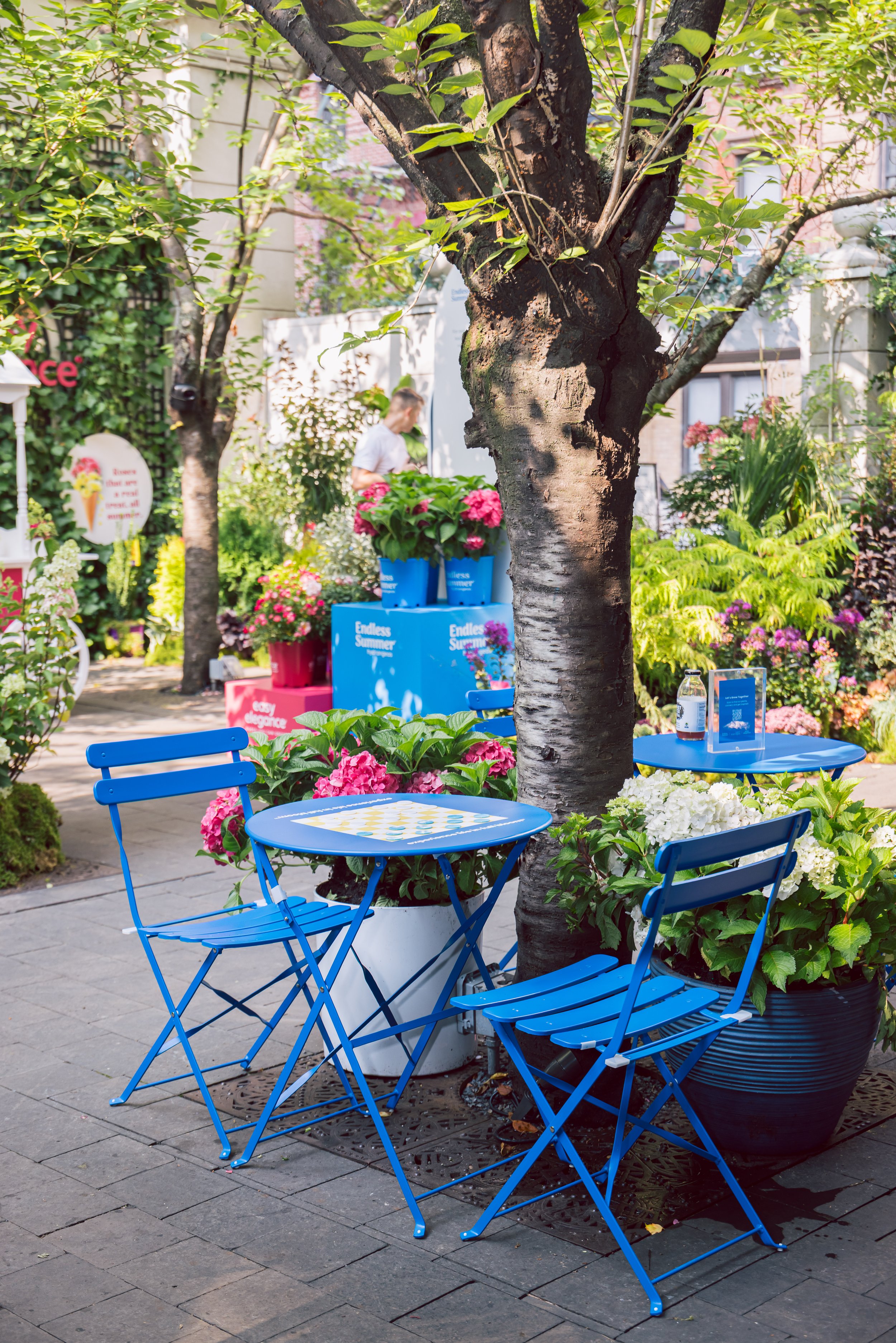 09.06.25-DLPFloraHousexBailey--18.jpg