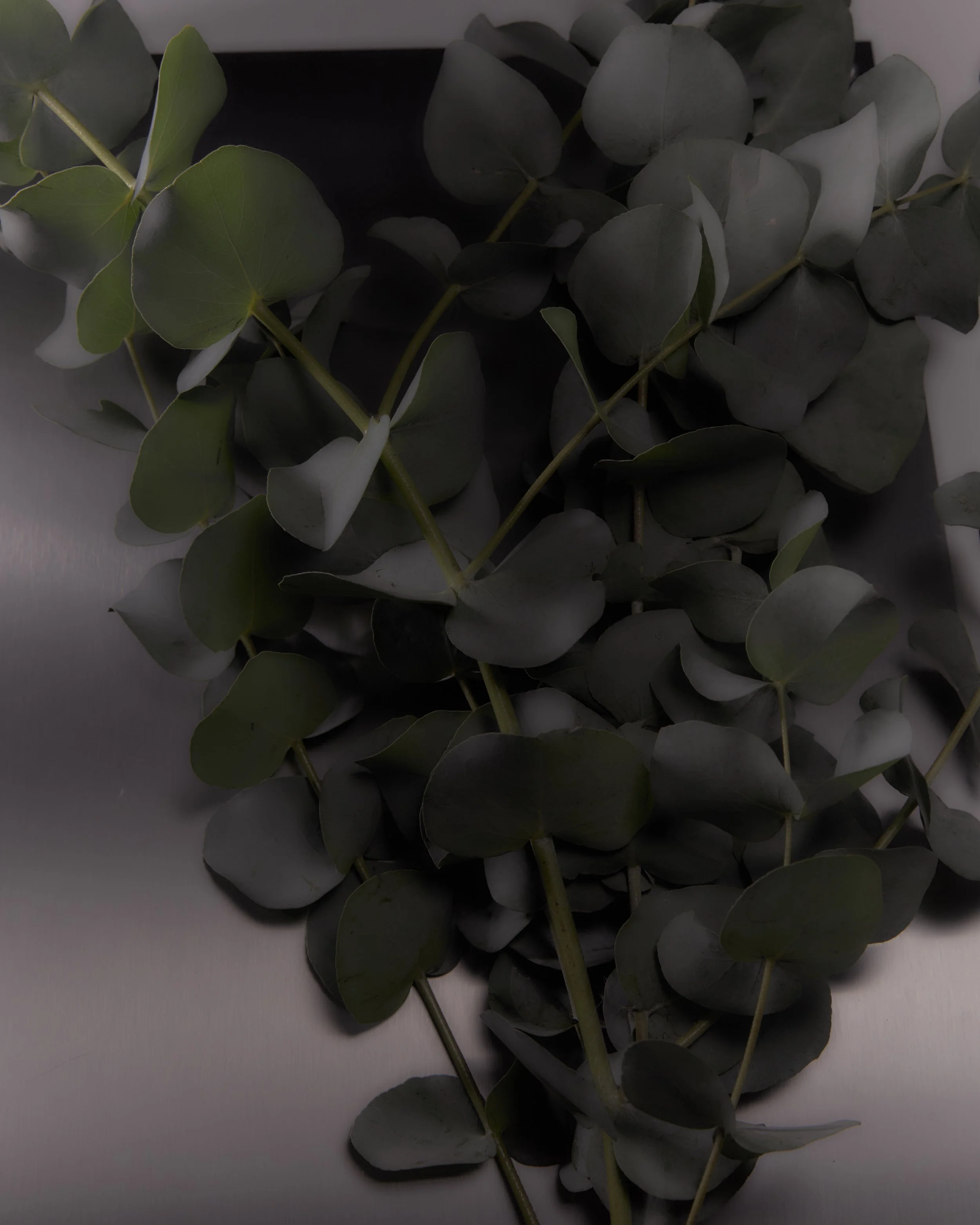 2026_01_28_HARUHARU WONDER_2_30.jpg