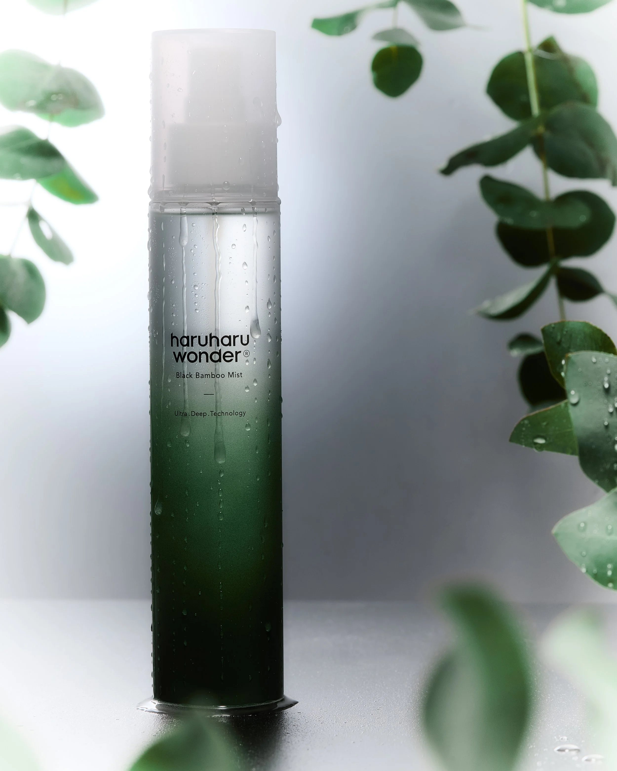 2026_01_28_HARUHARU WONDER_3_242.jpg