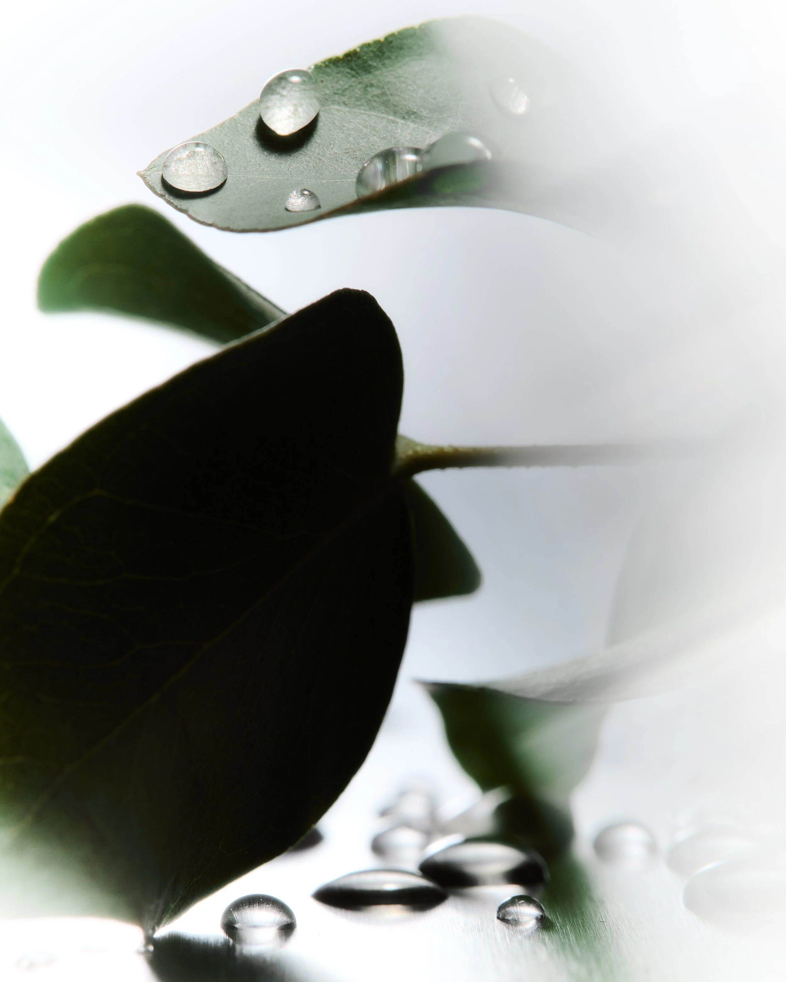 2026_01_28_HARUHARU WONDER_3_469.jpg