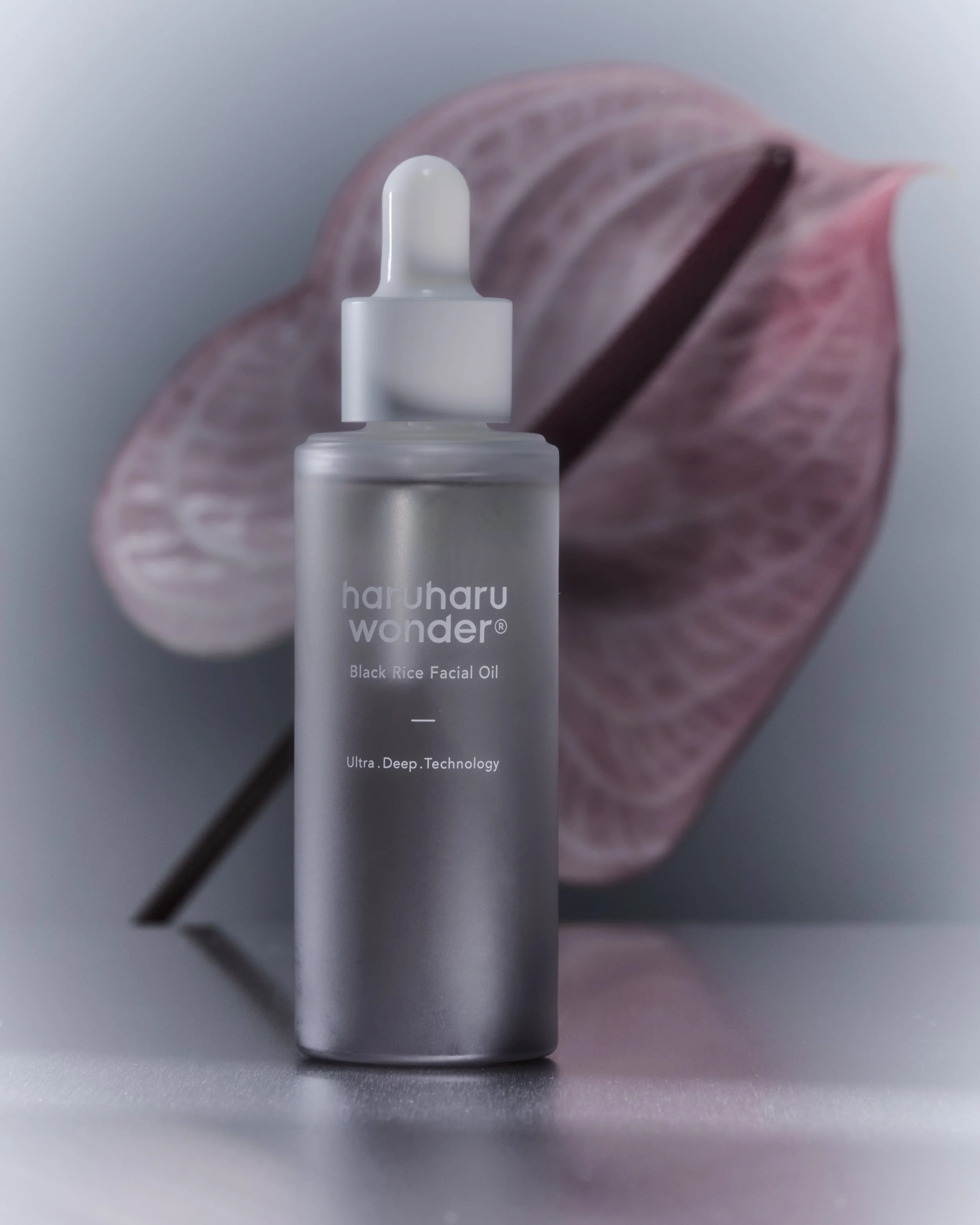 2026_01_28_HARUHARU WONDER_93.jpg