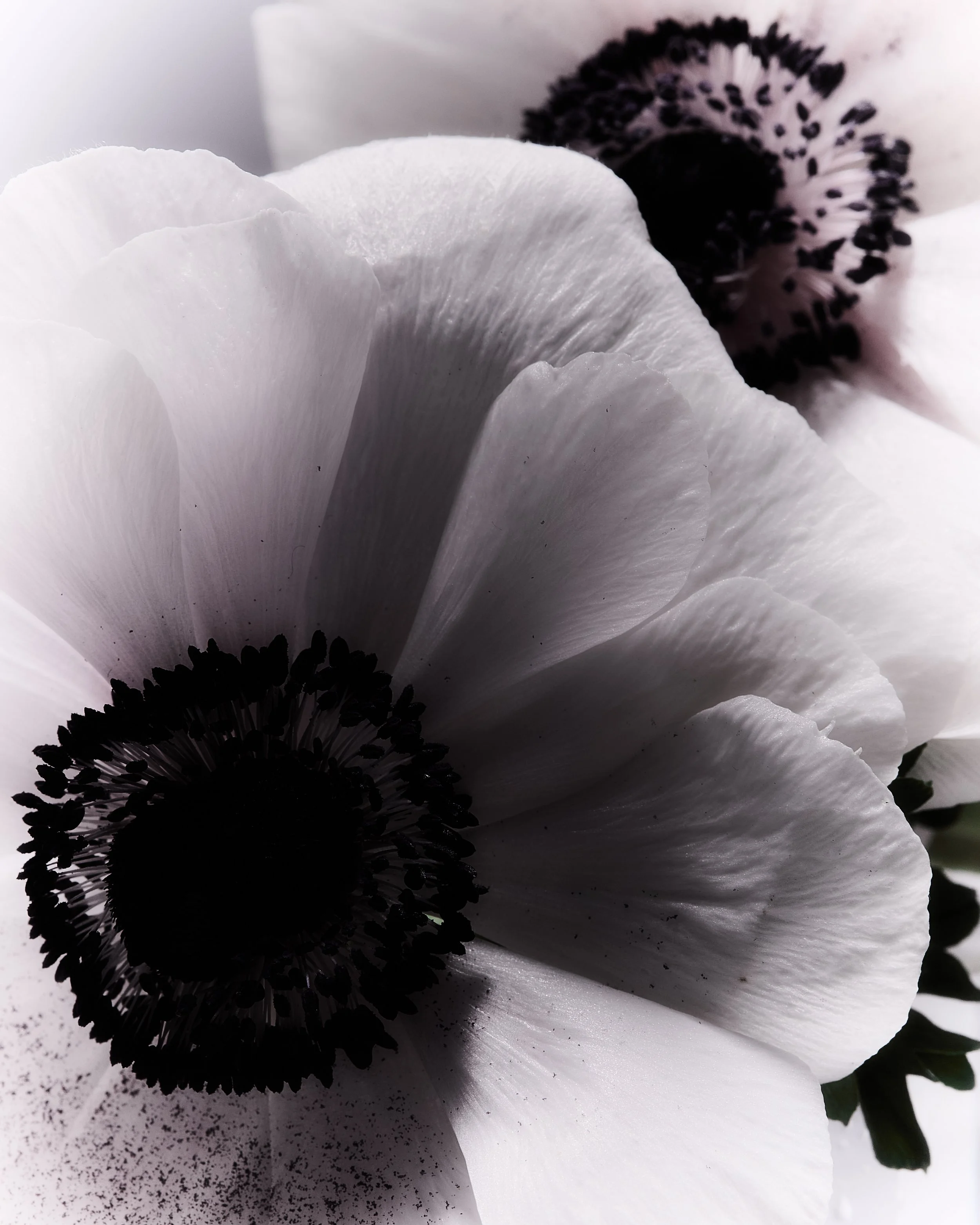 2026_01_28_HARUHARU WONDER_3_083.jpg