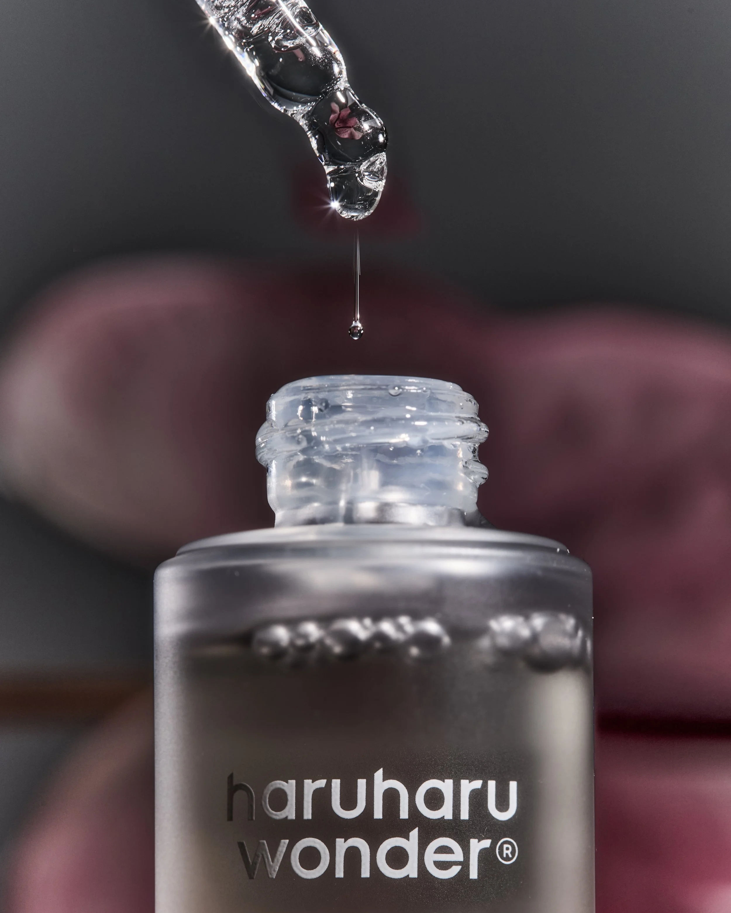 2026_01_28_HARUHARU WONDER_275 copy.jpg