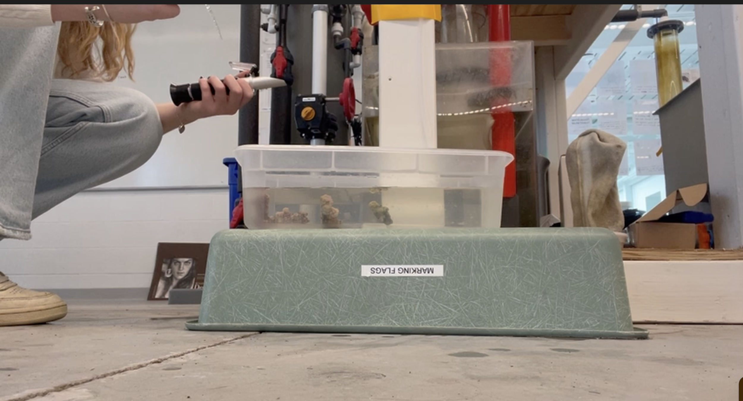 Testing water quality during drip (March 2024)