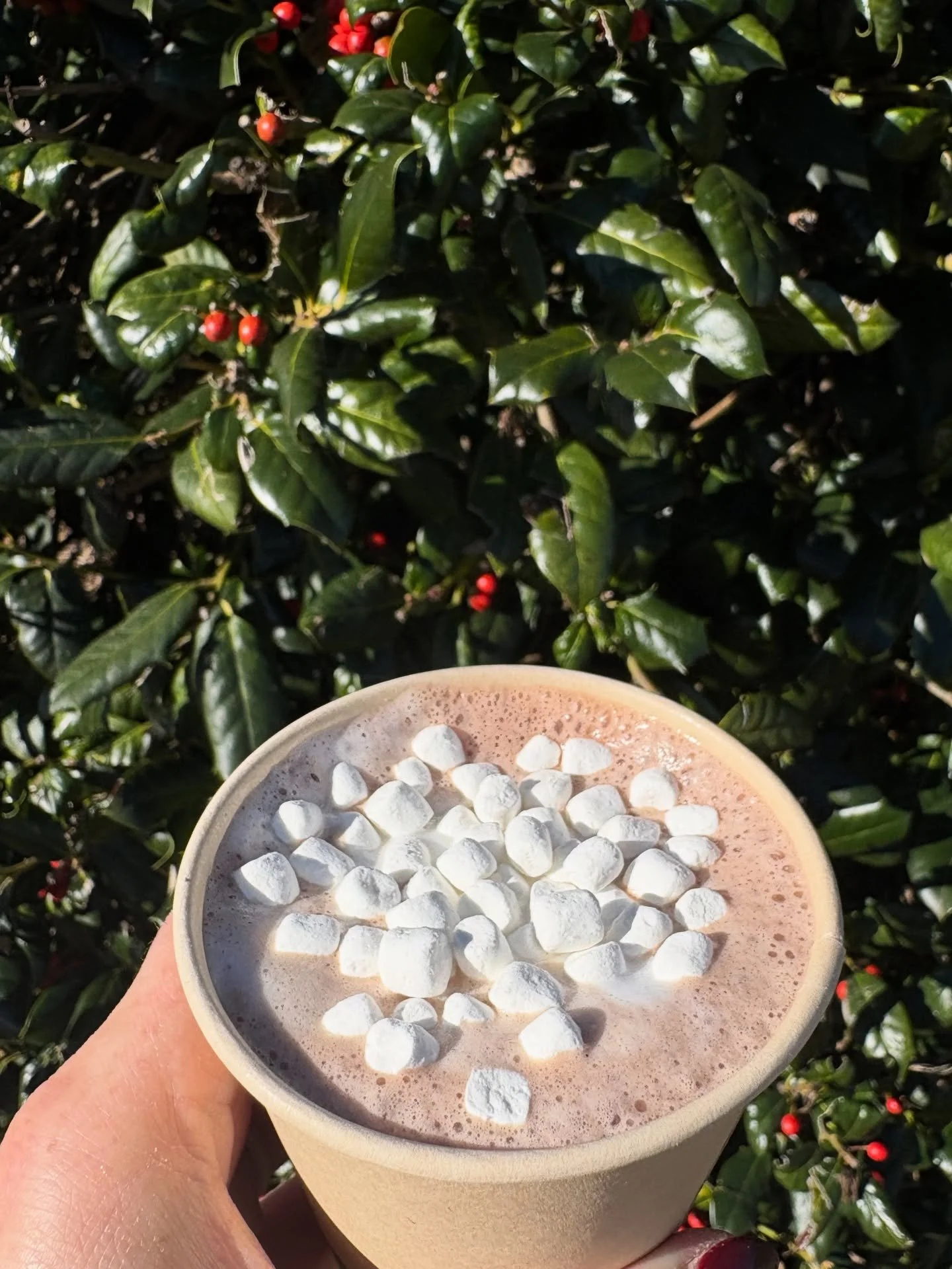 Friends, hot cocoa lovers, and fellow bird nerds (we consider this to be a good thing 🦆) we are providing FREE hot cocoa for @savingcranes Whooping Crane Walk THIS Saturday at 9 am. 

Thanks to @bestandbrightestdecatur for sponsoring this warm treat