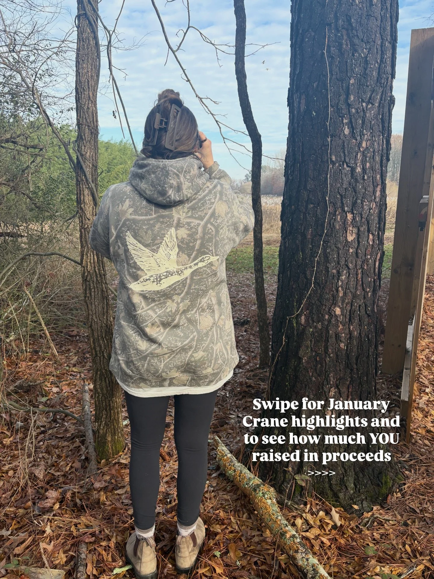 January is for the ~cranes~