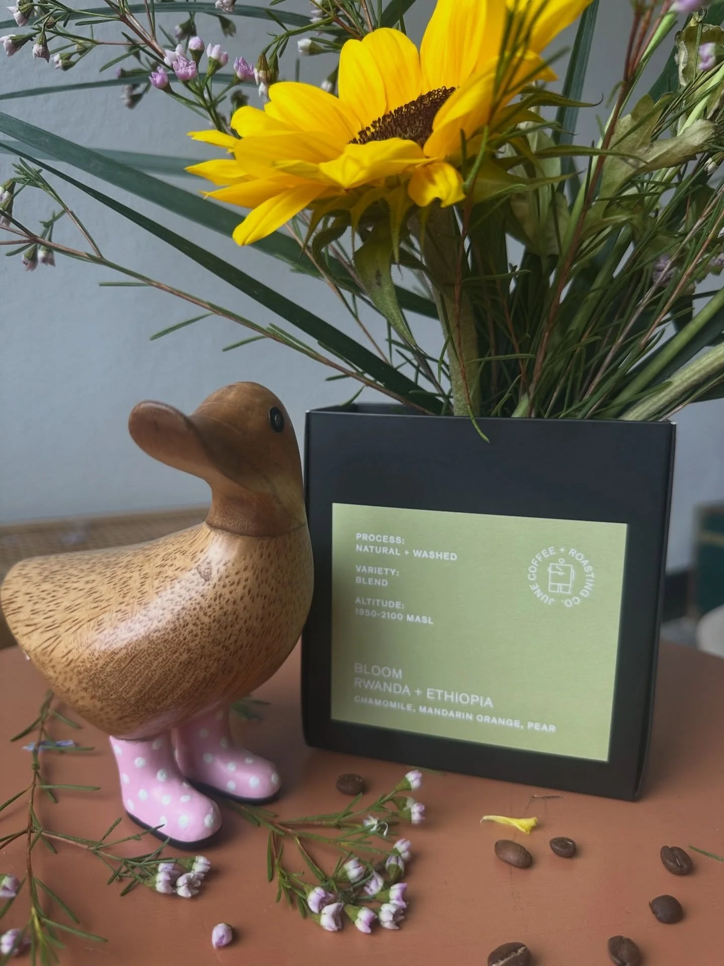 New beans just in time for the weekend! Come stock up and try the new Spring blend on DRIP tomorrow💐💐💐

What other @junecoffeeco beans do you want to see on drip?

Reminder that we can grind the beans you purchase however you need. ☺️