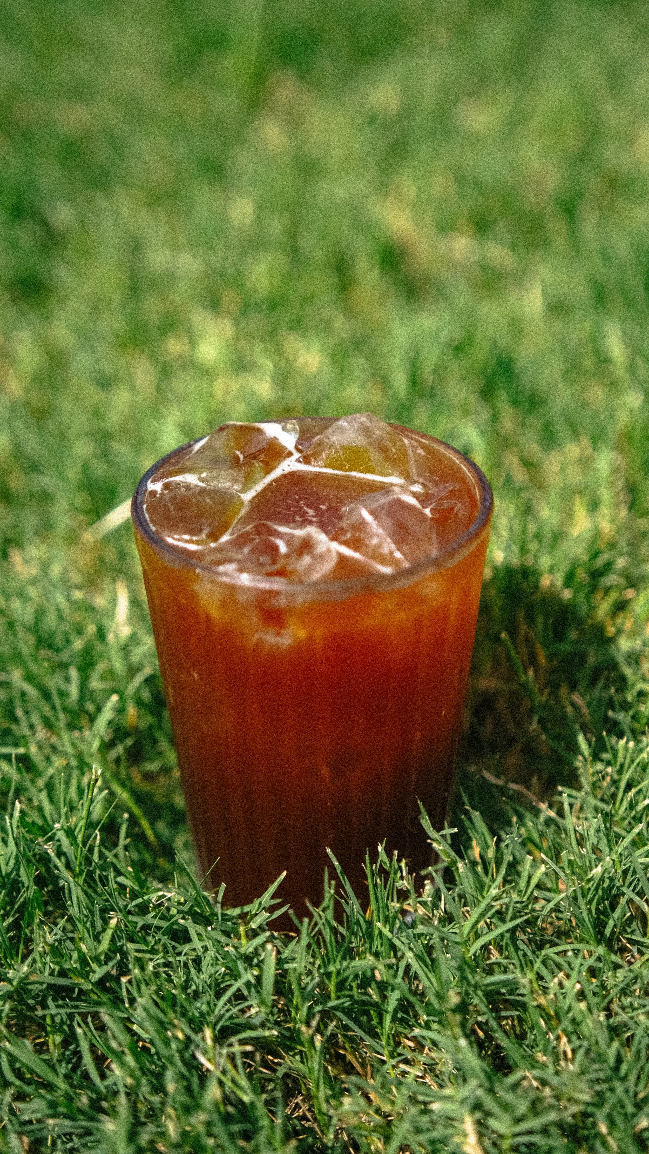 MALLARD-SUMMER-DRINKS-63.jpg
