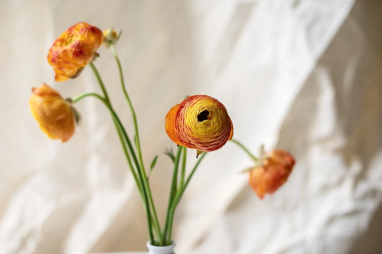 glimpses of fall colors in the studio ✨
