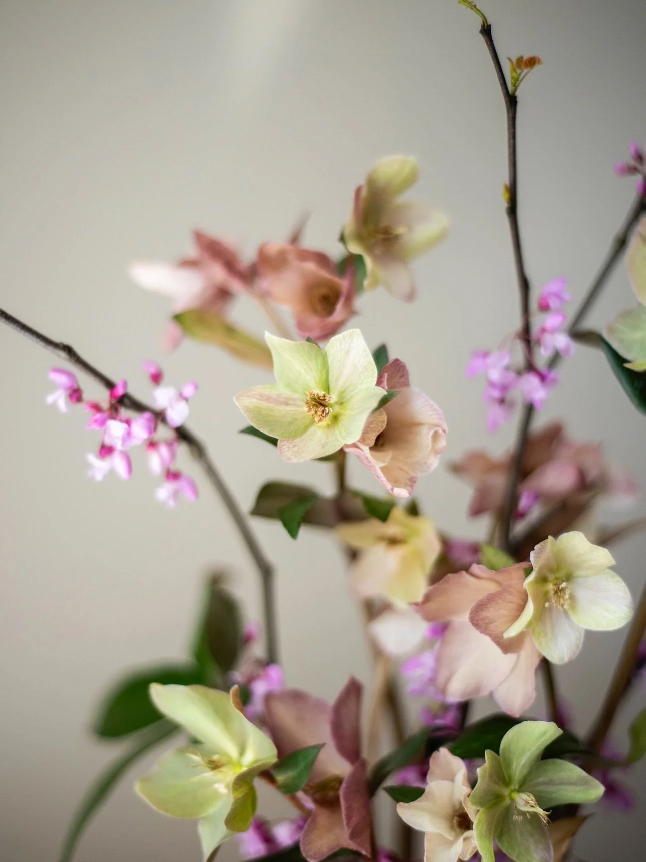 Spring season is in full swing! ✨