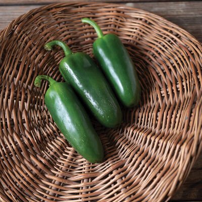 Pepper-Giant Jalapeno