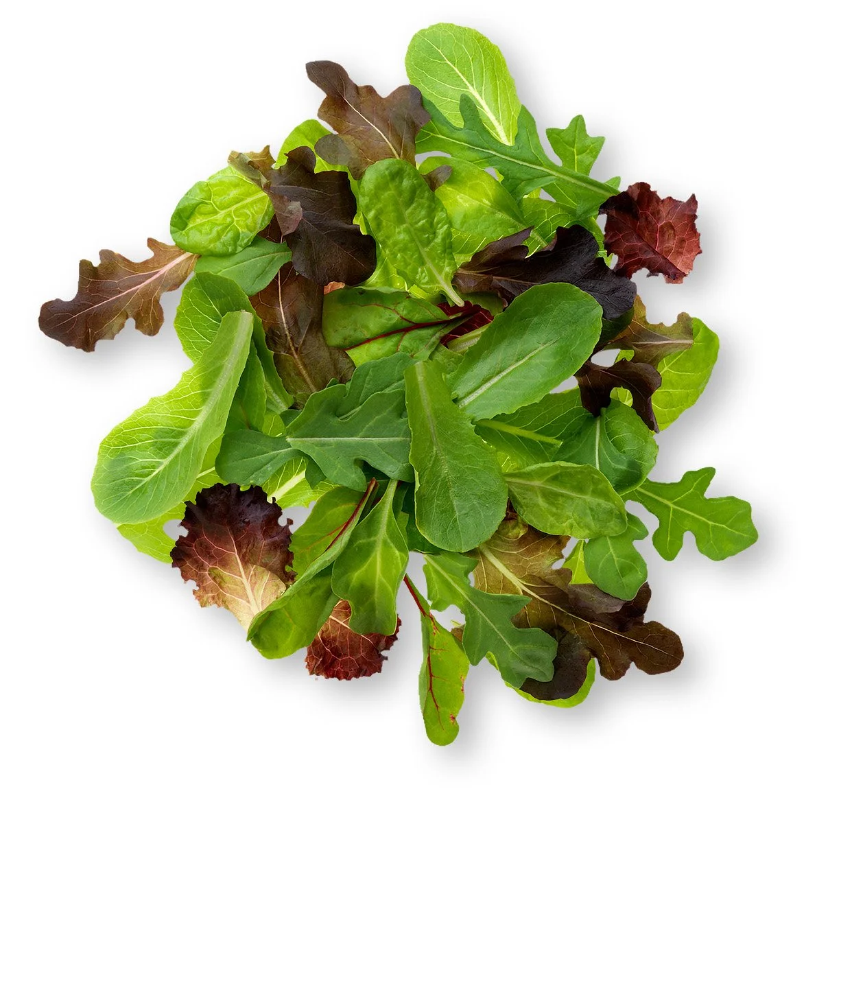 Lettuce- FRF-Salad Mix
