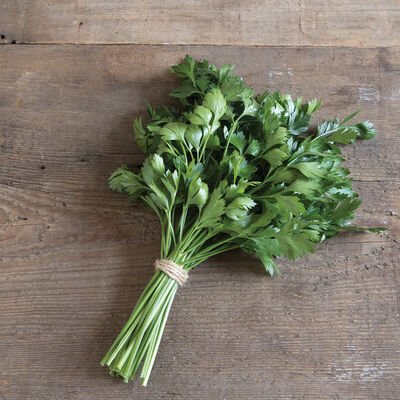 Parsley