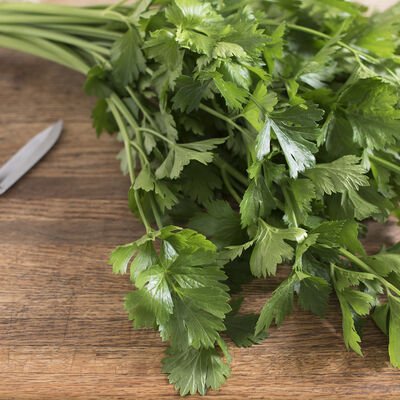 Cutting Celery