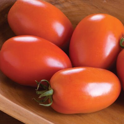 Tomato-Amish Paste