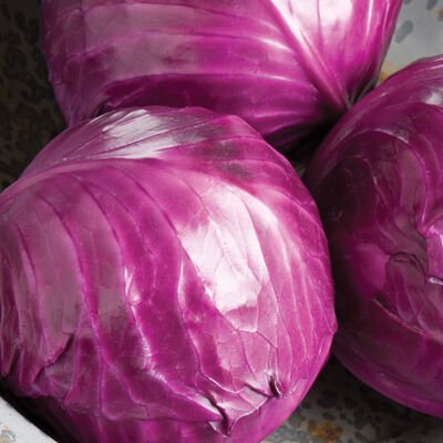 Cabbage-Red
