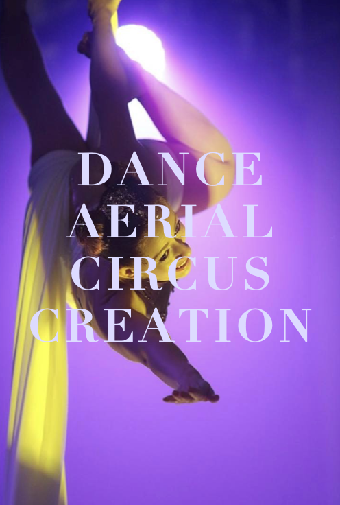 Aerialist performing a handstand in a circus, illuminated by purple and yellow lights, with overlay text reading 'Dance Aerial Circus Creation.'