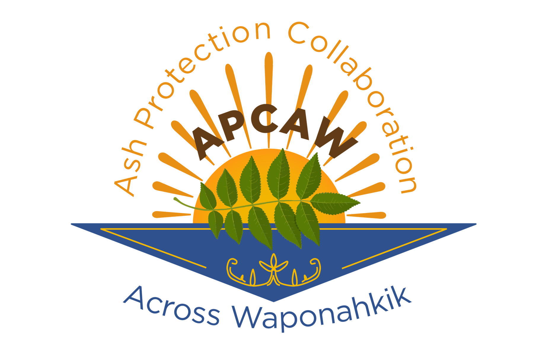 Everything Ash Webinar Series: Tony D’Amato – Benefits and ecosystem services of Ash