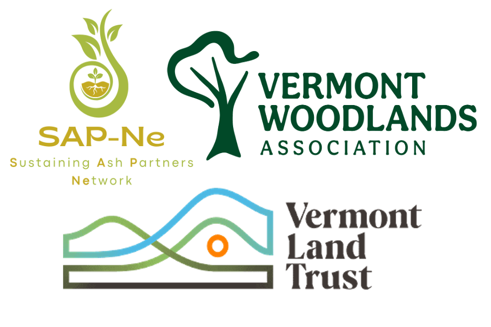 Field Tours: Maintaining Ash in Your Woods: Strategies for Responding to Emerald Ash Borer 
