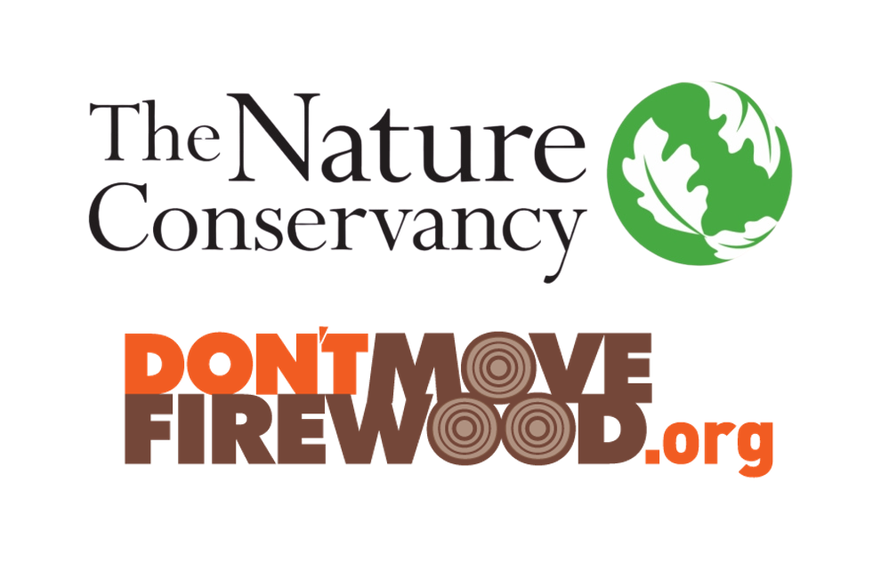 The Impacts of EAB and the Efforts to Preserve Black Ash