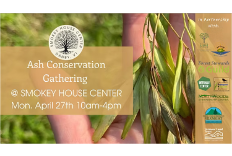 Ash Conservation Gathering - Smokey House, VT