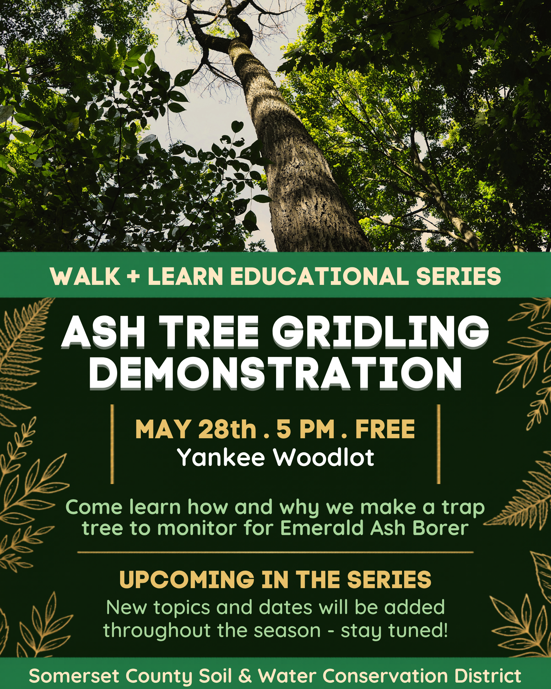 EAB Trap Trees Event - ME Yankee Woodlot Walk &amp; Learn Series