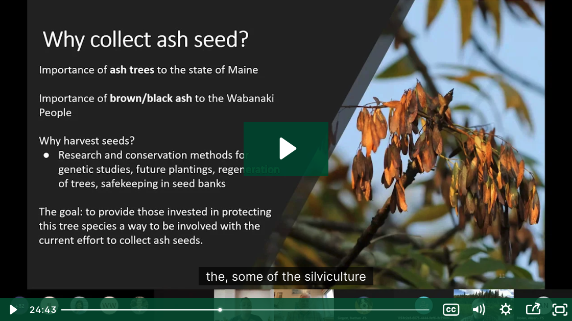 Sustaining Ash Partners Network: Slide from presentation titled "Forest Service Talks: Ash Protection Collaborative Across the Wabanaki"