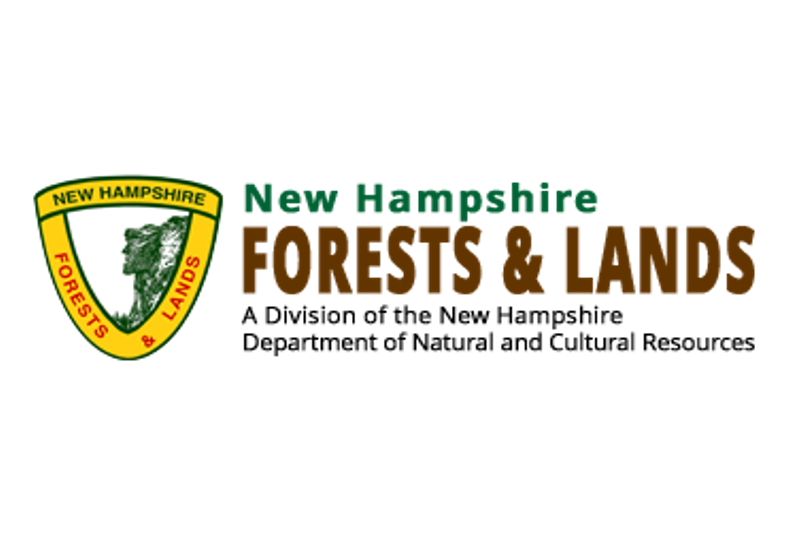 Logo for New Hampshire Forests & Lands featuring a shield with a bear's head and the text 'New Hampshire' and 'Forests & Lands'.