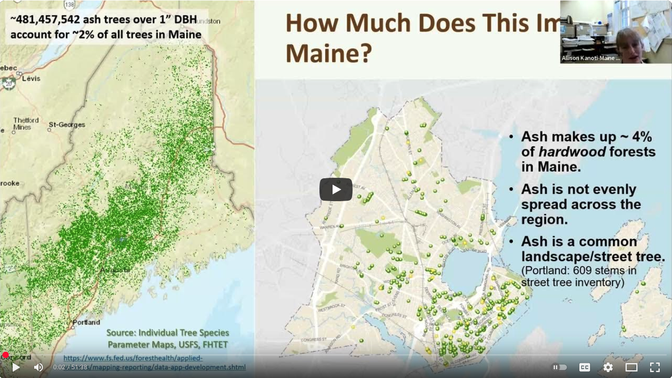 Sustaining Ash Partners Network: Slide from presentation titled "Everything Ash Webinar Series: Impacts and Response in Maine"