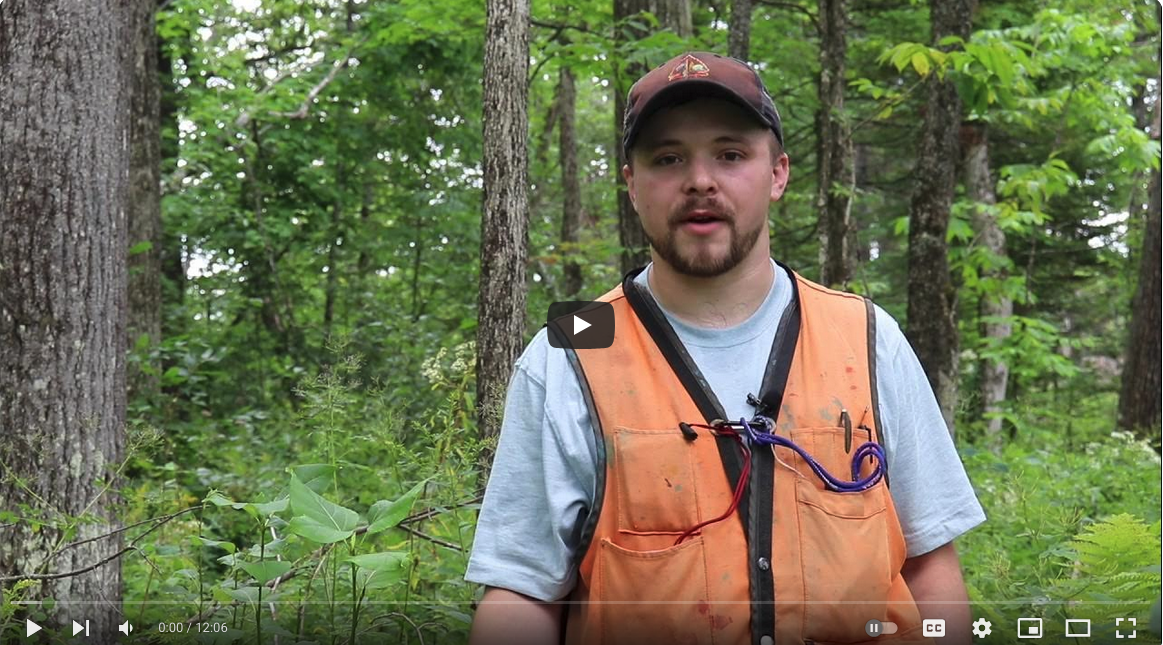 Sustaining Ash Partners Network: Image from video titled "Guild Student Feature: Tyler Everett"