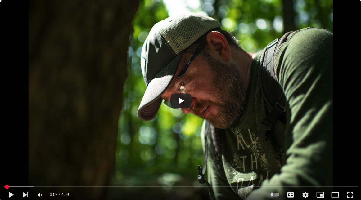 Sustaining Ash Partners Network: Image from video titled "Protecting The Appalachian Trail - One Tree at a time"