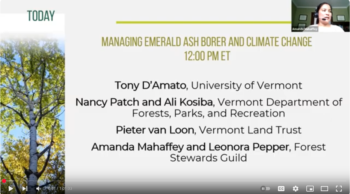 Sustaining Ash Partners Network: Slide from presentation titled "Managing Emerald Ash Borer and Climate Change"