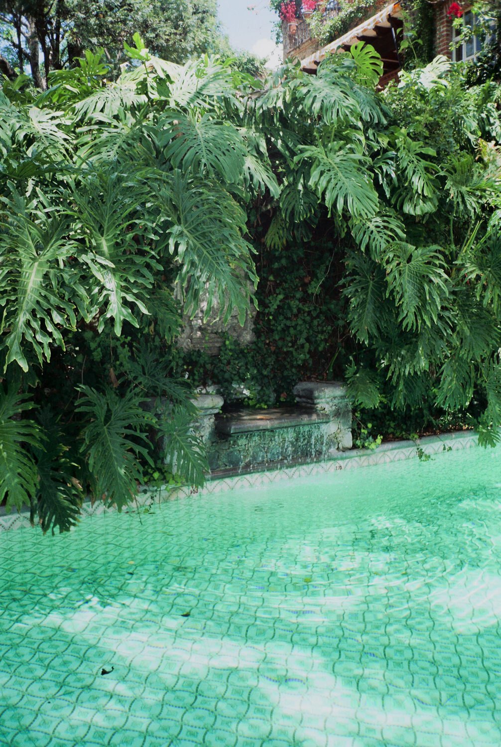 A&J_Film-187.jpg