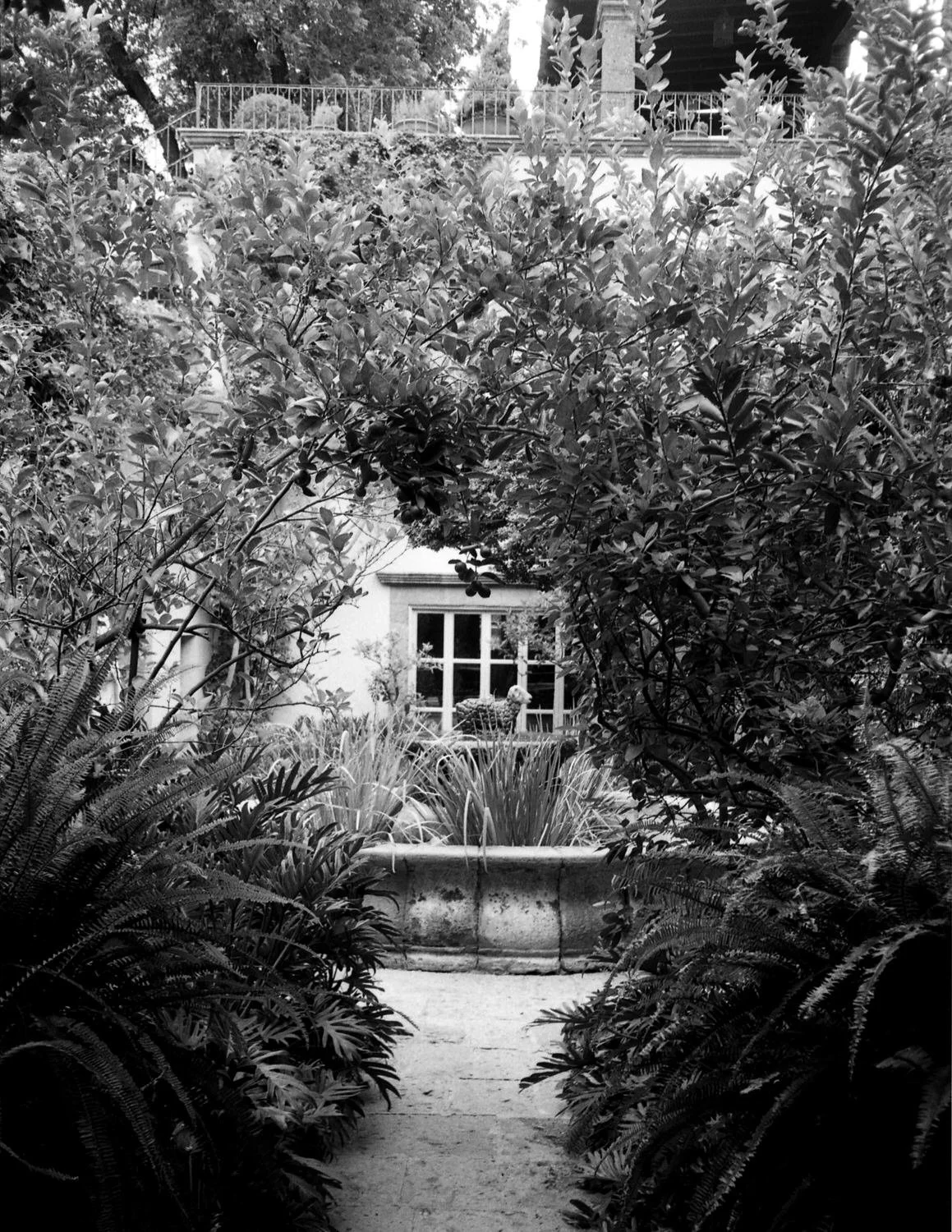 Film_EFE-11.jpg