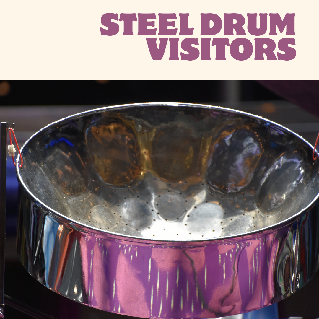 Steel Drum Visitors