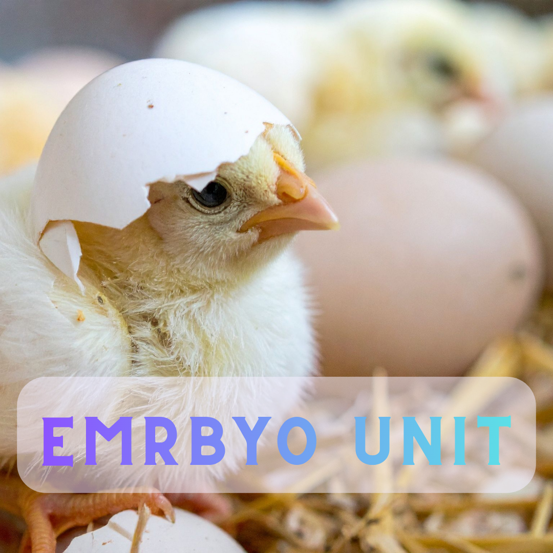 Embryo Unit!