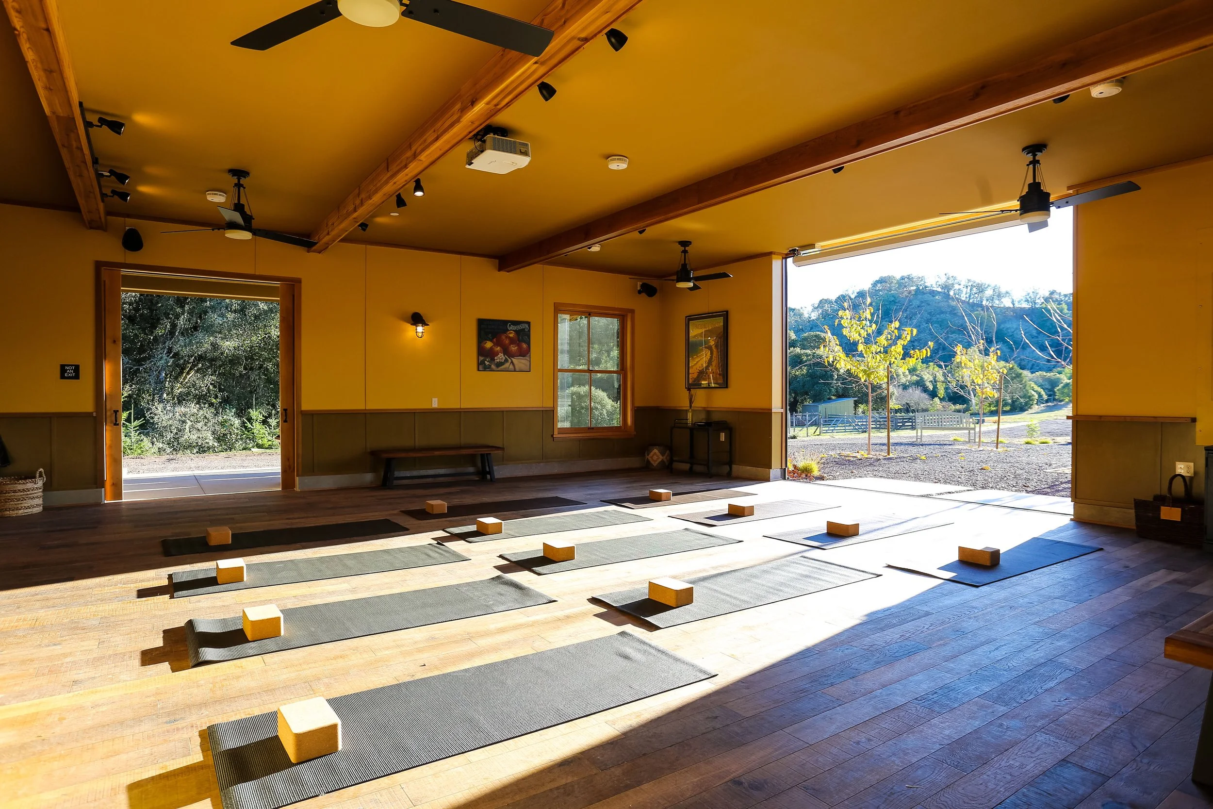 Barn - Downstairs Yoga.jpg