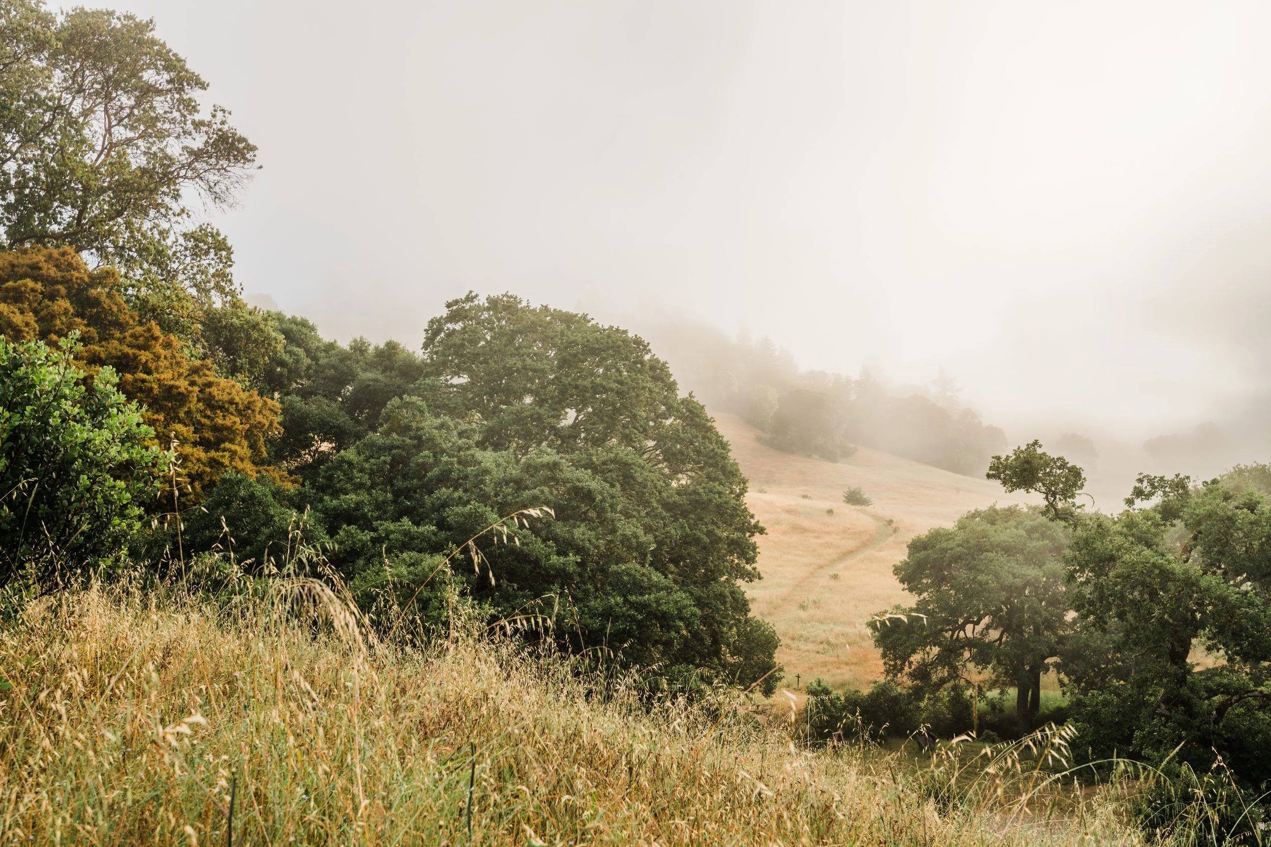 The Valley in Fall 1.jpg