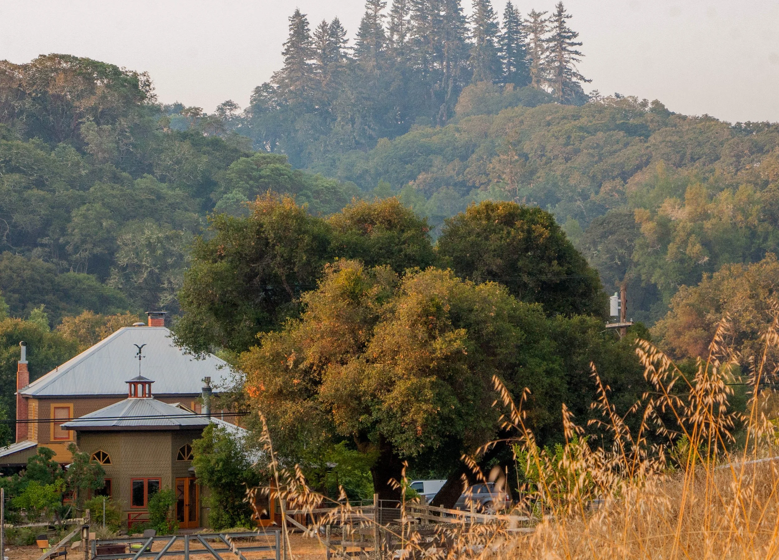 Toll House & Bunkhouse.jpg