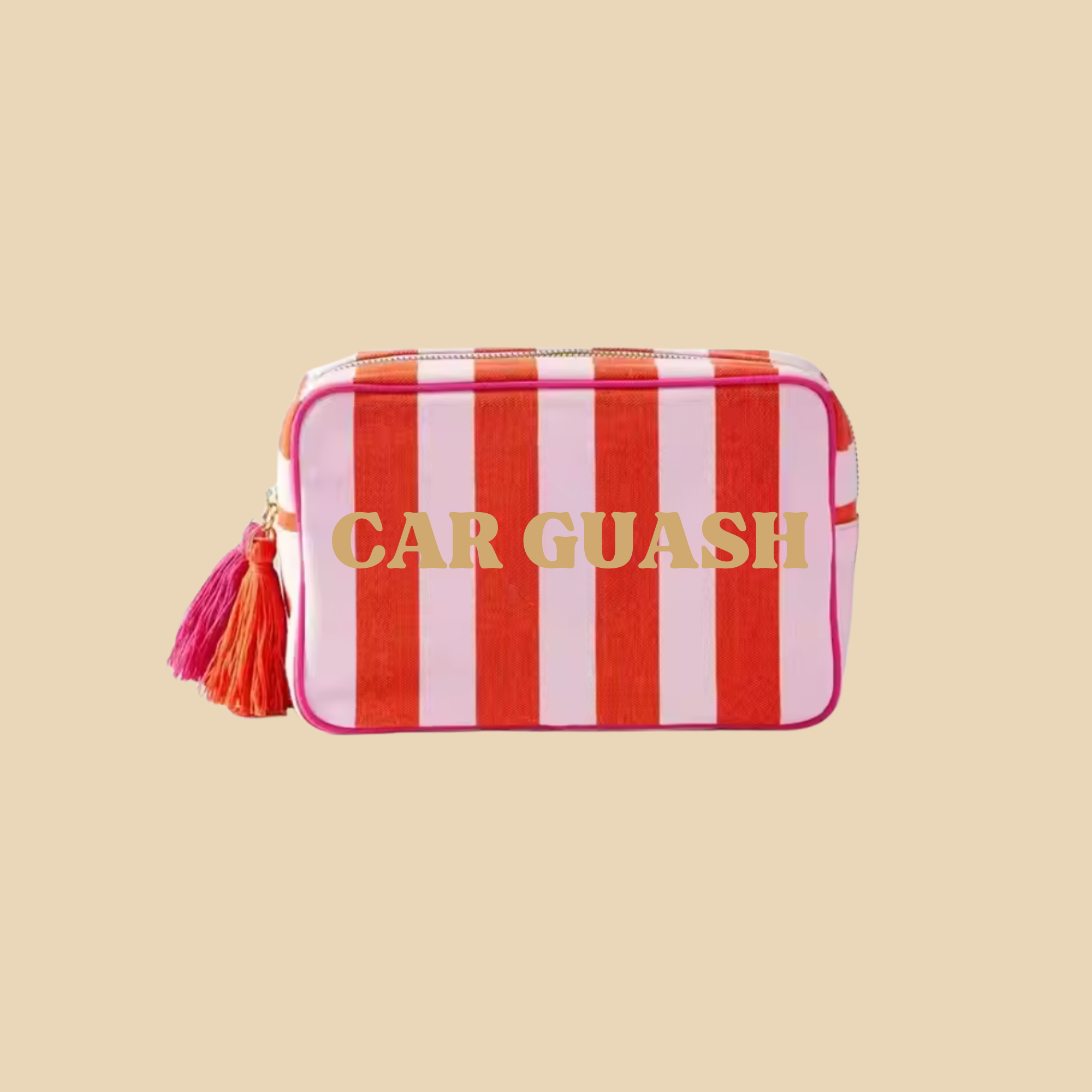 Car Guash Travel Case