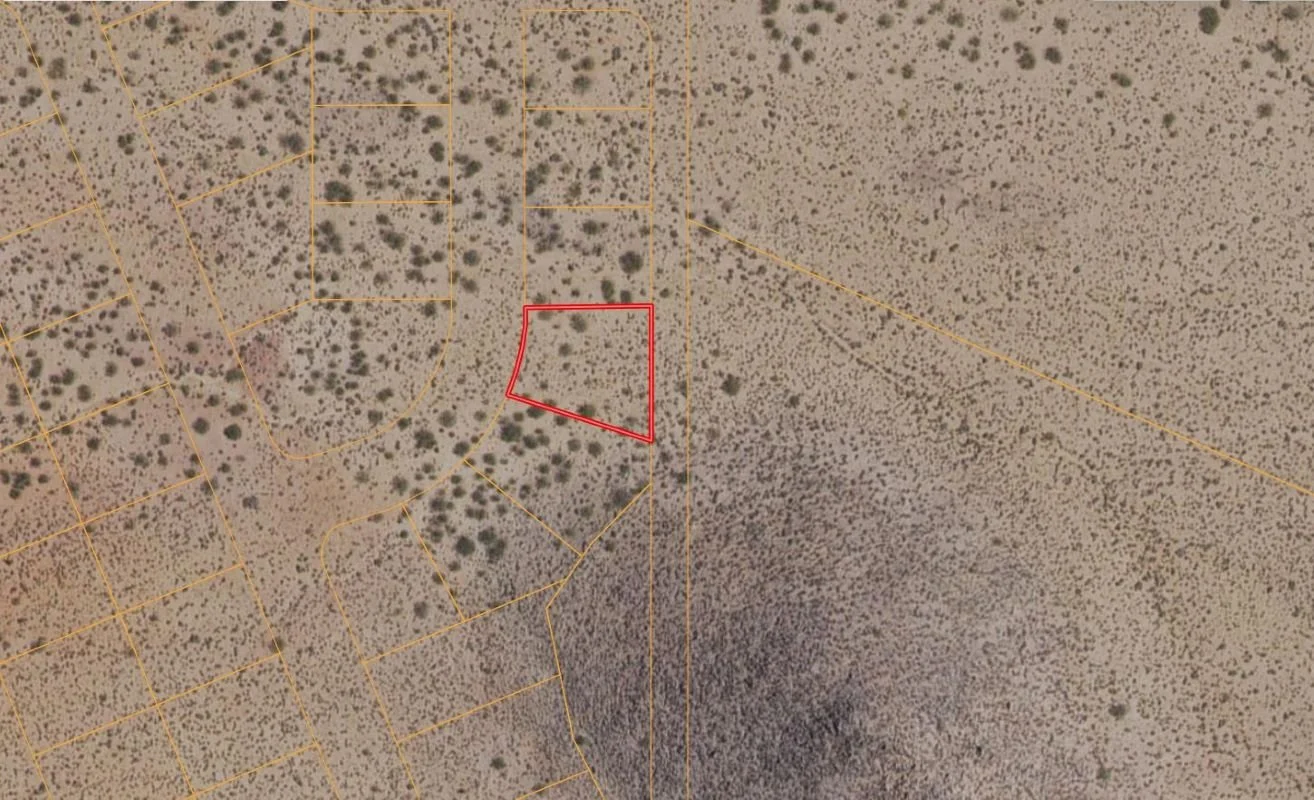 MAPRIGHT PARCEL OUTLINE parcel 303.JPG