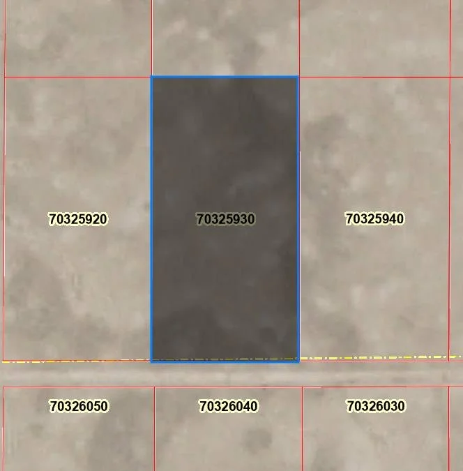 CO-Costilla-703259302.jpg