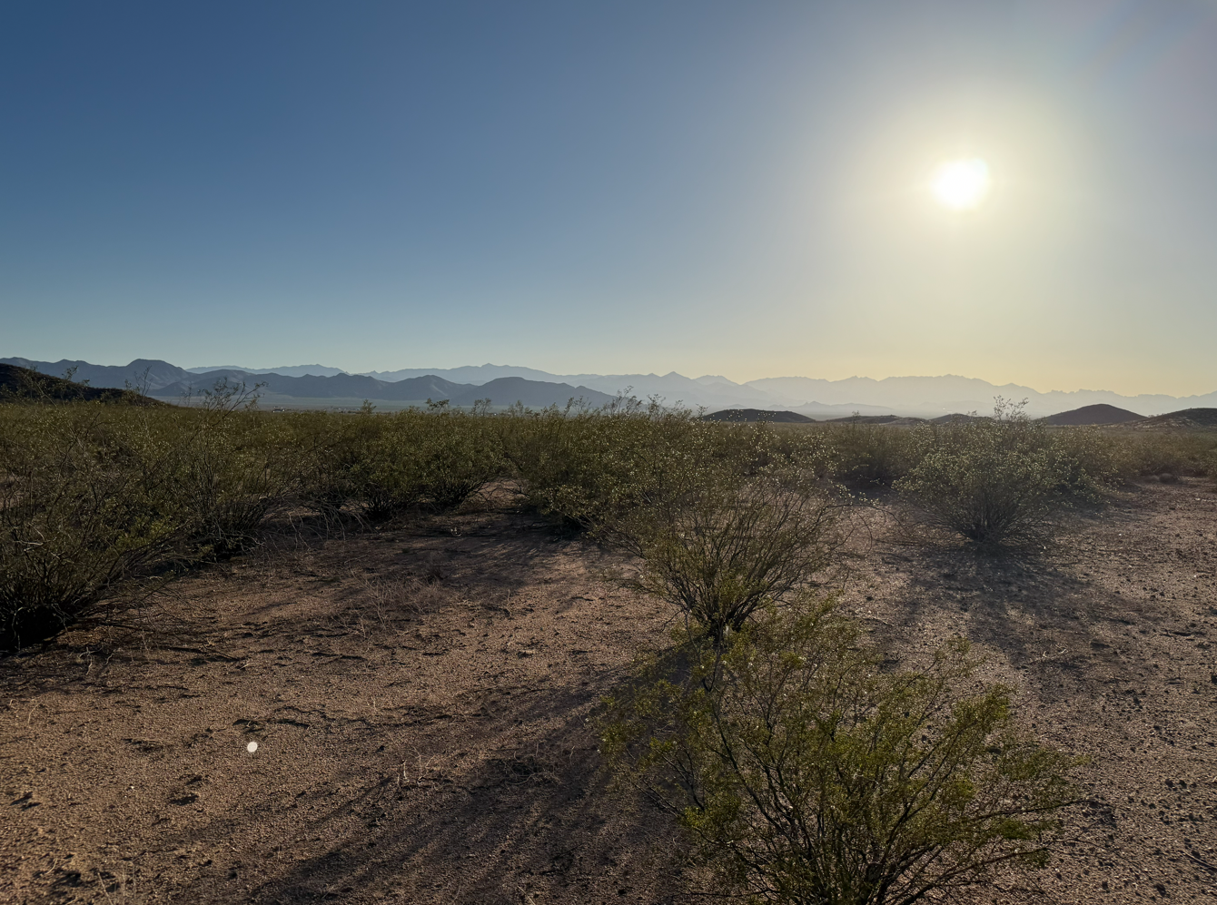 Build Your Retreat, Live Your Freedom on 0.23-Acres, $99/Mo!